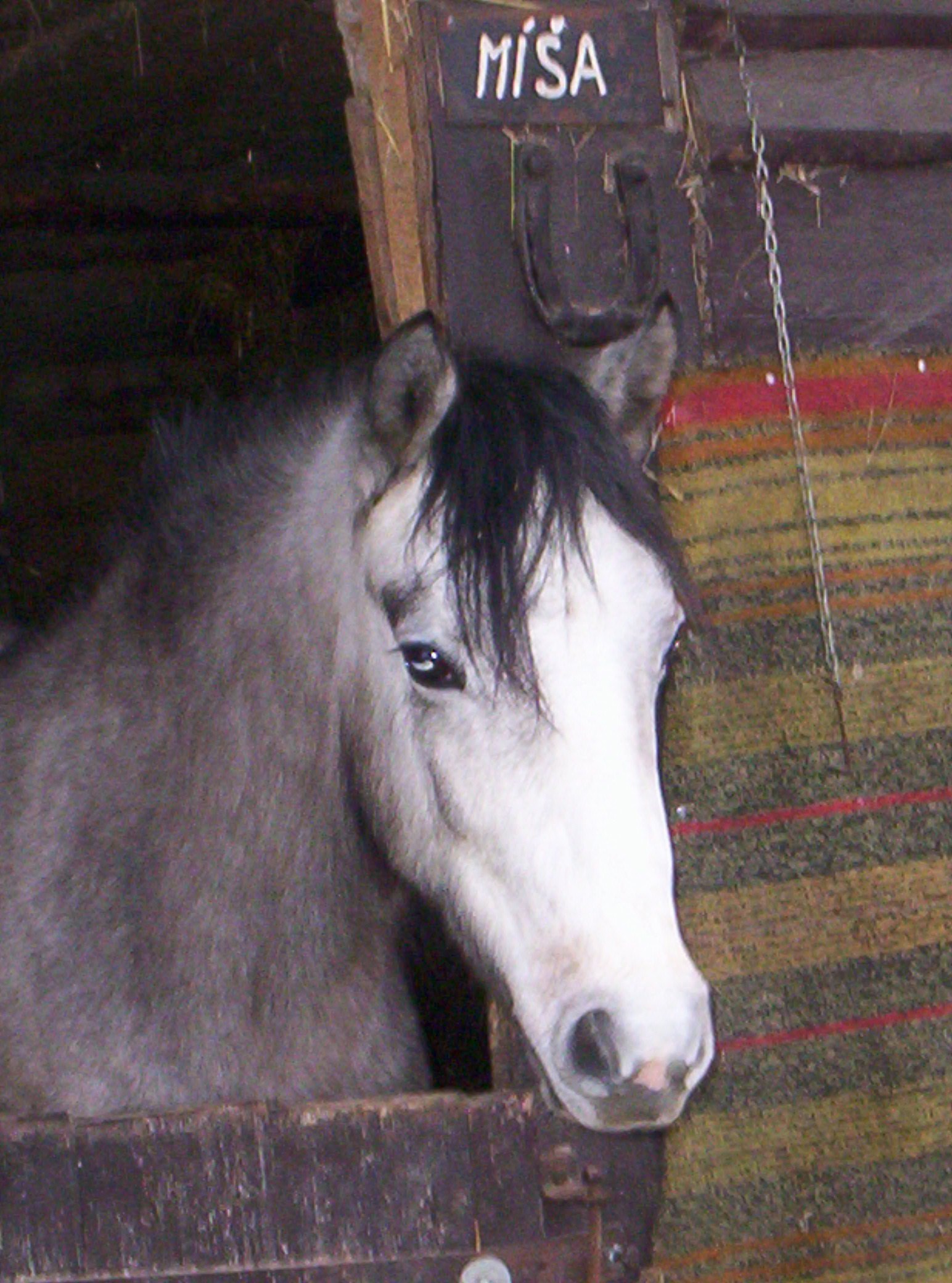 Sendyska
